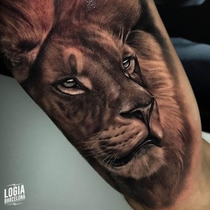 tatuaje_brazo_leon_logia_barcelona_douglas_prudente 